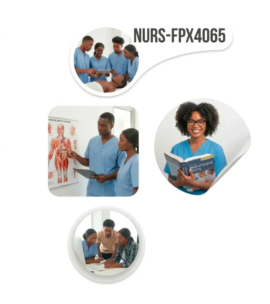 NURS-FPX4065
